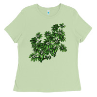 Matcha Botanical Schefflera Illustrations Ladies Tee - LillyAllenDesigns