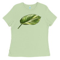 Matcha Golden Pothos Leaf Ladies Tee - LillyAllenDesigns