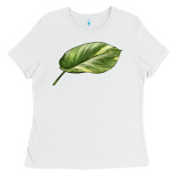 White Golden Pothos Leaf Ladies Tee - LillyAllenDesigns