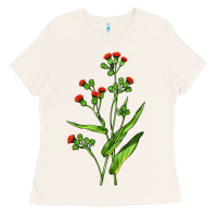 Bone Tassel Flower Illustrations Ladies Tee - LillyAllenDesigns