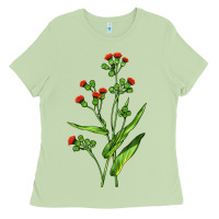 Matcha Tassel Flower Illustrations Ladies Tee - LillyAllenDesigns