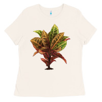 Bone Croton Ladies Tee - LillyAllenDesigns