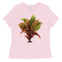Bubblegum Pink Croton Ladies Tee - LillyAllenDesigns