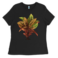 Black Croton Ladies Tee - LillyAllenDesigns
