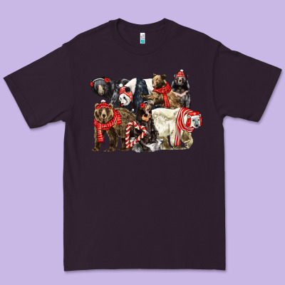 Christmas Bear Family Premium Tee Designed By Lillyallendesigns