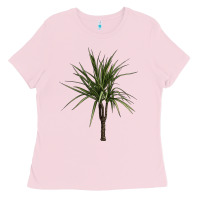 Bubblegum Pink Dracaena Marginata Ladies Tee - LillyAllenDesigns