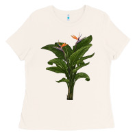 Bone the bird of paradise Ladies Tee - LillyAllenDesigns
