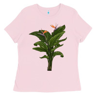 Bubblegum Pink the bird of paradise Ladies Tee - LillyAllenDesigns