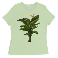 Matcha the bird of paradise Ladies Tee - LillyAllenDesigns