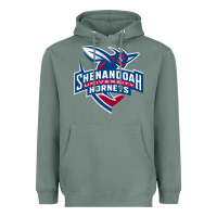 Sage Shenandoah University Hornets Heavyweight Hoodie - lanVoArt