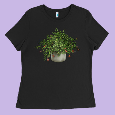 Dwarf Pomegranate Tree Illustrations Ladies Tee Designed By Lillyallendesigns