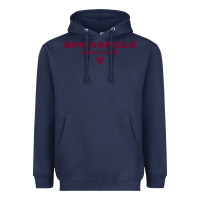 Navy springfield college Heavyweight Hoodie - lanVoArt