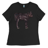 Black Black Angus Calf Illustrations Ladies Tee - LillyAllenDesigns