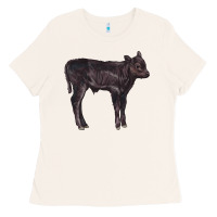 Bone Black Angus Calf Illustrations Ladies Tee - LillyAllenDesigns