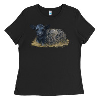 Black Black Angus Calf Illustrations Ladies Tee - LillyAllenDesigns
