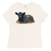 Bone Black Angus Calf Illustrations Ladies Tee - LillyAllenDesigns