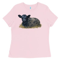 Bubblegum Pink Black Angus Calf Illustrations Ladies Tee - LillyAllenDesigns