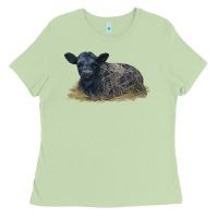 Matcha Black Angus Calf Illustrations Ladies Tee - LillyAllenDesigns