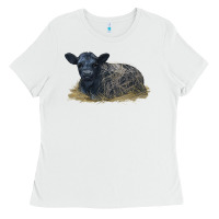 White Black Angus Calf Illustrations Ladies Tee - LillyAllenDesigns