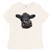 Bone Black Angus Heifer Ladies Tee - LillyAllenDesigns