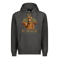 Charcoal Heather alf alien no problem vintage Premium Hoodie - lanVoArt