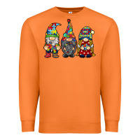 Carrot autism gnomies Premium Sweatshirt - RacoonDesign