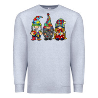 Heather Grey autism gnomies Premium Sweatshirt - RacoonDesign