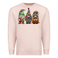 Pale Pink autism gnomies Premium Sweatshirt - RacoonDesign