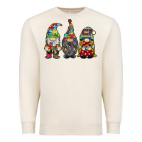 Sandshell autism gnomies Premium Sweatshirt - RacoonDesign