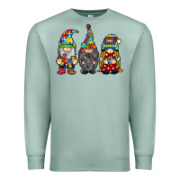Seafoam autism gnomies Premium Sweatshirt - RacoonDesign