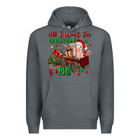 Rock all i want for christmas is a pig Premium Hoodie - FaDigitalArtStudio