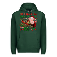 Sports Green all i want for christmas is a pig Premium Hoodie - FaDigitalArtStudio