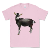 Bubblegum Pink Alpine Goat Classic Tee - LillyAllenDesigns