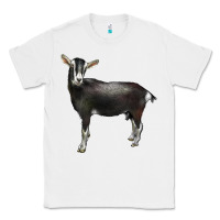 White Alpine Goat Classic Tee - LillyAllenDesigns