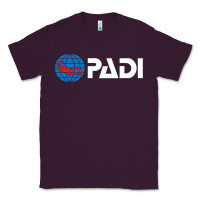 Plum padi Classic Tee - lanVoArt