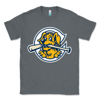 Charcoal Heather the charleston riverdogs Classic Tee - lanVoArt
