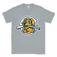 Heather Grey the charleston riverdogs Classic Tee - lanVoArt