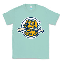 Seafoam the charleston riverdogs Classic Tee - lanVoArt