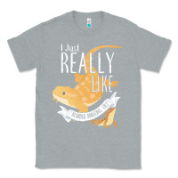 Heather Grey bearded dragons i just really like bearded dragons Classic Tee - lanVoArt
