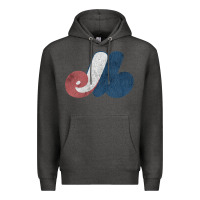 Charcoal Heather montreal expos Premium Hoodie - lanVoArt