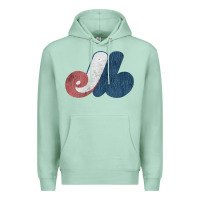 Seafoam montreal expos Premium Hoodie - lanVoArt