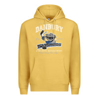 Antique Gold property of danbury trashers Premium Hoodie - lanVoArt