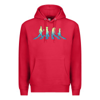 Wizard Of Oz Abbey Brick Road Premium Hoodie | Teevron