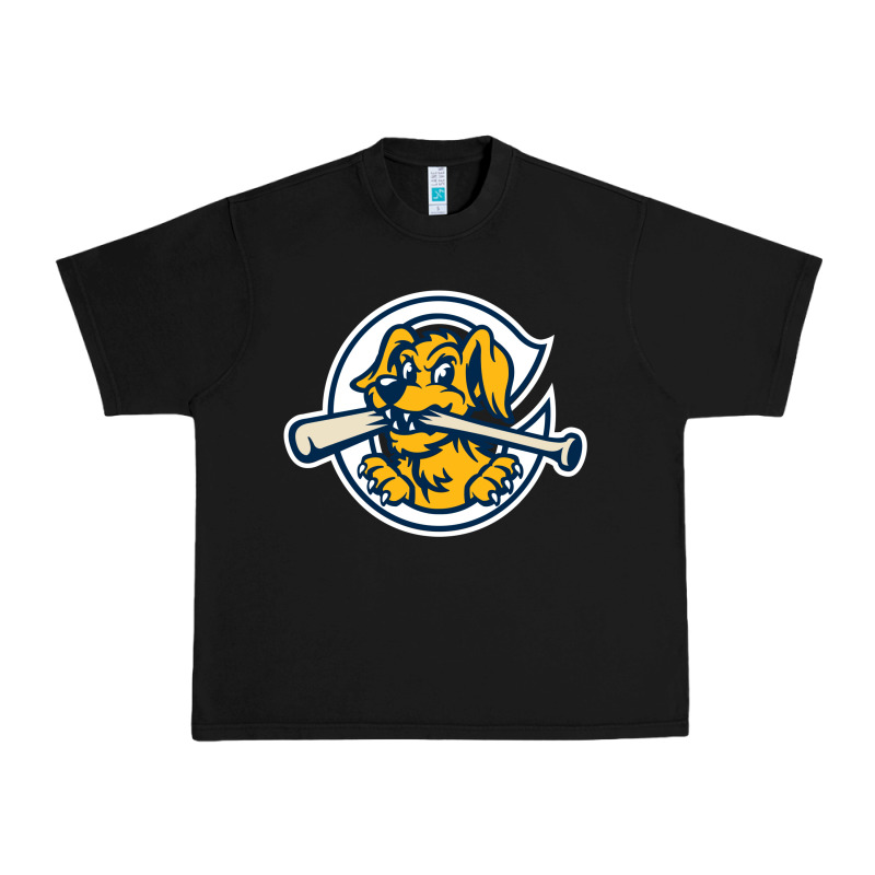 The Charleston Riverdogs Urban Heavy Tee by lanVoArt | Teevron