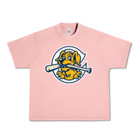 Salmon the charleston riverdogs Urban Heavy Tee - lanVoArt