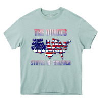Arona the divided states of america political humor usa map t shirt Heavy Core Tee - lanVoArt
