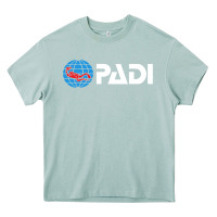 Arona padi Heavy Core Tee - lanVoArt