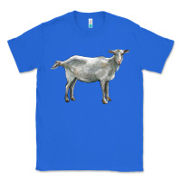 True Royal saanen goat Classic Tee - LillyAllenDesigns