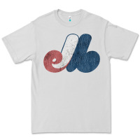 Dove Grey montreal expos Premium Tee - lanVoArt