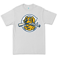 Dove Grey the charleston riverdogs Premium Tee - lanVoArt